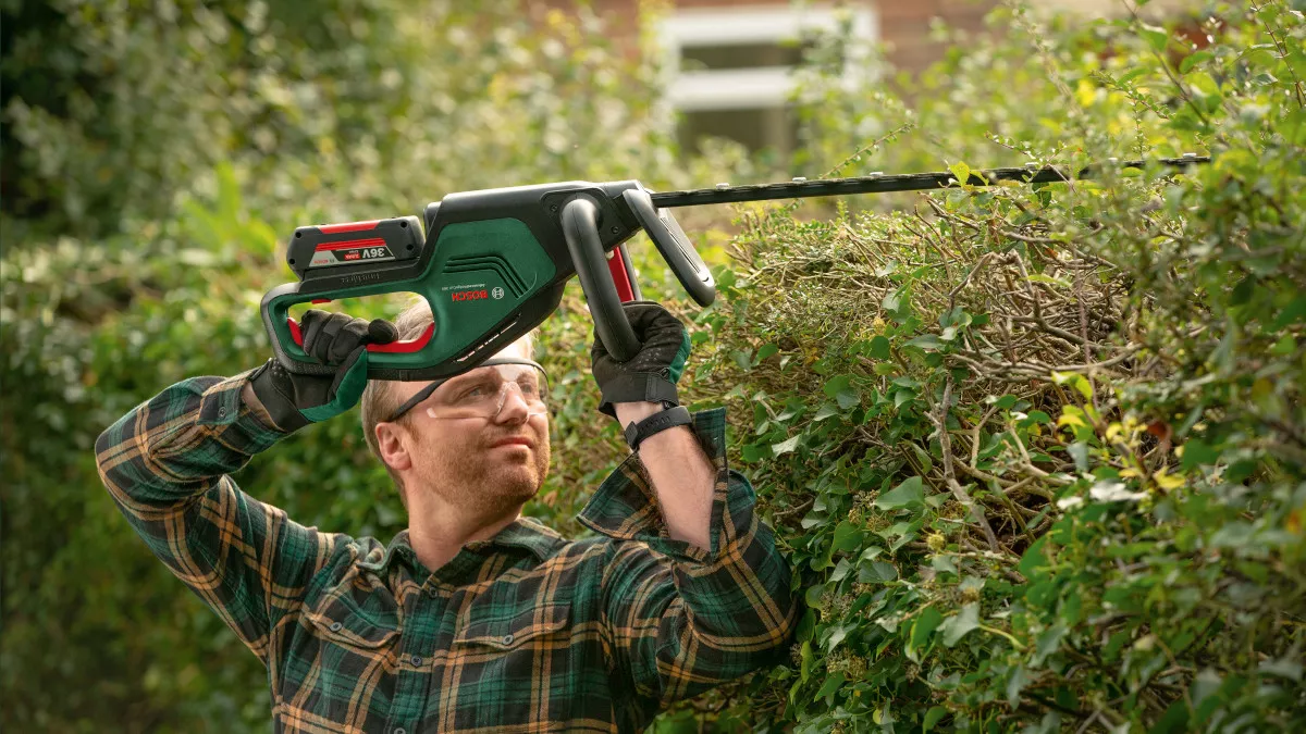 Taille-haie sans-fil AdvancedHedgeCut 36V-65-28 Bosch solo